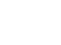Sticky Queen Honey